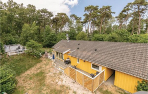 Duen in Vester Sømarken